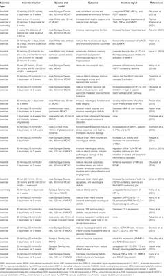 Insight Into the Mechanism of Exercise Preconditioning in Ischemic Stroke